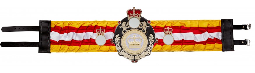 QUEENSBURY WHITE CHAMPION CROWN SILK CHAMPIONSHIP BELT - QUEEN/B/WHTGEM/SILK - AVAILABLE IN 6 COLOURS